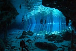 Playa del Carmen: Excursión de Buceo en el Cenote Dos Ojso con 2 Tanques