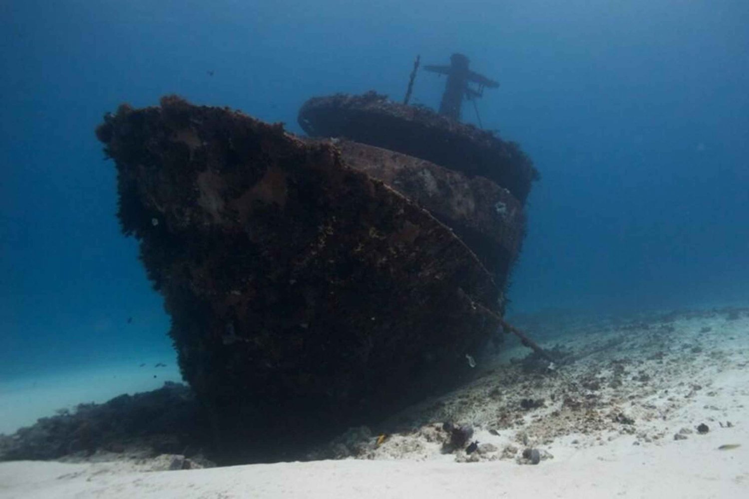 Playa del Carmen: Curso Avanzado de Buceo en Aguas Abiertas