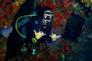 Playa del Carmen: Curso Avanzado de Buceo en Aguas Abiertas