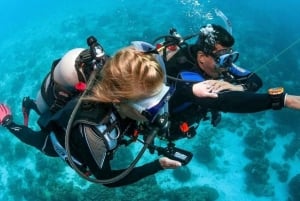 Playa del Carmen: Curso Avanzado de Buceo en Aguas Abiertas