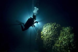 Playa del Carmen: Curso Avanzado de Buceo en Aguas Abiertas