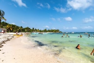 Playa del Carmen/Tulum: Playa de Akumal con esnórquel con tortugas