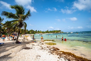 Playa del Carmen/Tulum: Playa de Akumal con esnórquel con tortugas