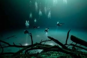 PLAYA DEL CARMEN: Experiencia de Buceo en el Cenote ANGELITA+LAVADERO