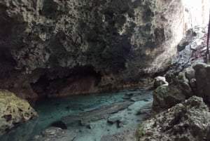 Playa del Carmen: Excursión en quad, cenote y tirolesa con comida