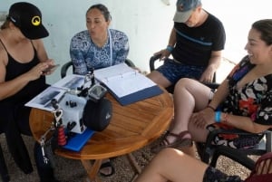 Playa del Carmen: Bull Shark Encounter