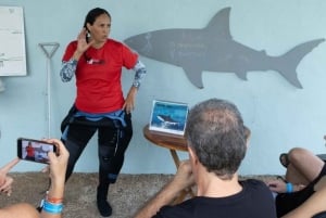 Playa del Carmen: Bull Shark Encounter