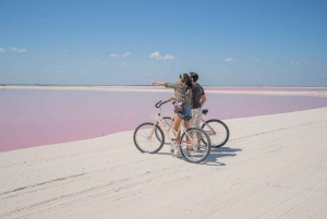 Playa del Carmen/Cancún: Rio Lagartos & Las Coloradas Tour