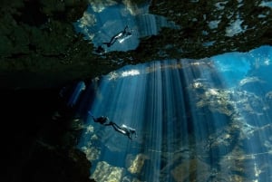 Playa del Carmen: Experiencia certificada de buceo en cenotes