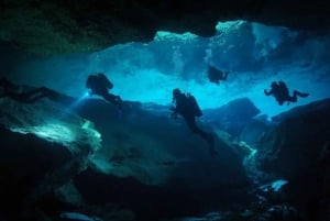 PLAYA DEL CARMEN: Buceo en el cenote CHIKIN HA