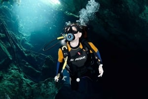 Playa del Carmen: Descubre el Surrealista Mundo del Buceo