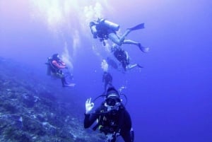 Playa del Carmen: Descubre el Surrealista Mundo del Buceo