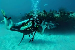 Playa del Carmen: Descubre el Surrealista Mundo del Buceo