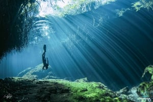 PLAYA DEL CARMEN: DOS OJOS Cenote Scuba Diving Tour