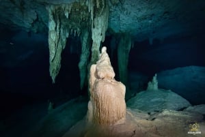 PLAYA DEL CARMEN: DOS OJOS Cenote Scuba Diving Tour