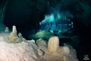 PLAYA DEL CARMEN: DOS OJOS Cenote Scuba Diving Tour