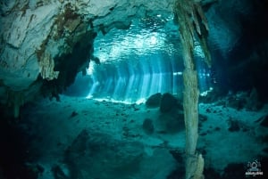 PLAYA DEL CARMEN: DOS OJOS Cenote Scuba Diving Tour