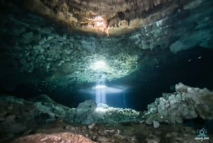 PLAYA DEL CARMEN: DOS OJOS Cenote Scuba Diving Tour