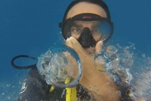 Playa del Carmen: Buceo extremo en Cozumel en lancha rápida