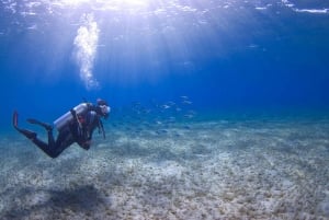 Playa del Carmen: Buceo extremo en Cozumel en lancha rápida