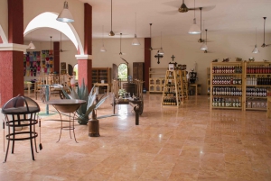 Playa del Carmen Great Shopping Tour
