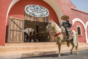 Playa del Carmen Great Shopping Tour