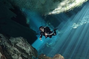 Playa del Carmen: Combo de buceo en cenotes de alto octanaje