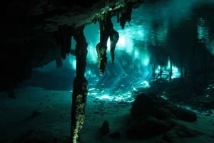 Playa del Carmen: Combo de buceo en cenotes de alto octanaje