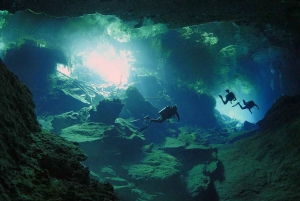 Playa del Carmen: Combo de buceo en cenotes de alto octanaje