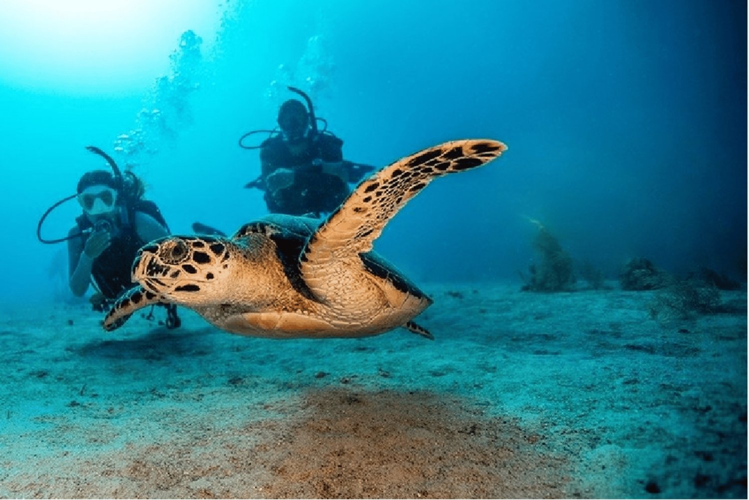 Playa del Carmen: Curso de Buceo en Aguas Abiertas