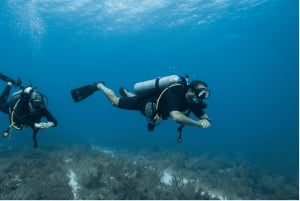 Playa del Carmen: Curso de Buceo en Aguas Abiertas