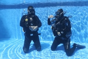 Playa del Carmen: Curso de Buceo en Aguas Abiertas