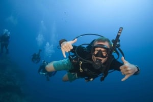 Playa del Carmen: PADI Advance Open Water in Riviera Maya