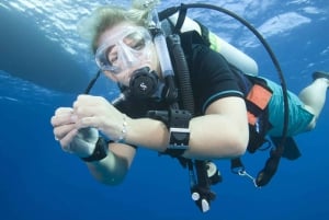 Playa del Carmen: PADI Advance Open Water in Riviera Maya