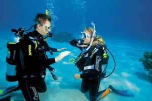 Playa del Carmen: PADI Advance Open Water in Riviera Maya