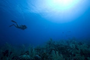 Playa del Carmen: PADI Advance Open Water in Riviera Maya