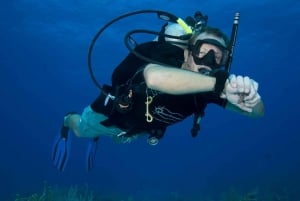 Playa del Carmen: PADI Advance Open Water in Riviera Maya