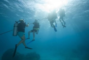 Playa del Carmen: PADI Advance Open Water in Riviera Maya