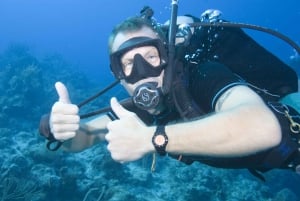 Playa del Carmen: PADI Advance Open Water in Riviera Maya