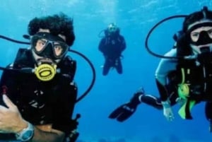 Playa del Carmen: Certificación PADI Open Water