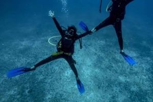 Playa del Carmen: PADI Open Water Diver Certification Course