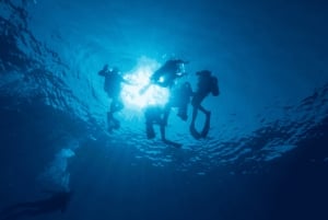 Playa del Carmen: PADI Open Water Diver Certification Course