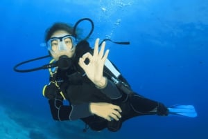 Playa del Carmen: PADI Open Water Diver Certification Course