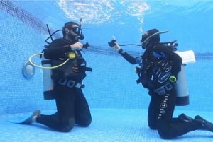 Playa del Carmen: Curso de Certificación de Buceo