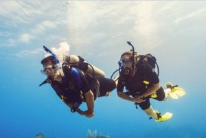 Playa del Carmen: Curso de Certificación de Buceo