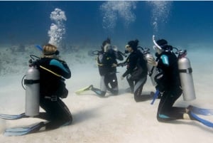 Playa del Carmen: Curso de Certificación de Buceo