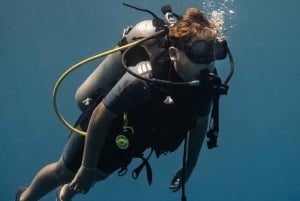 Playa del Carmen: Curso de Certificación de Buceo