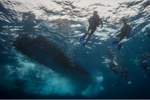 Playa del Carmen: Curso de Certificación de Buceo