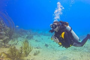 Playa del Carmen: Curso SSI de Aguas Abiertas