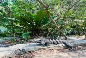 Playa del Carmen: Excursión a Chichén Itzá y Valladolid